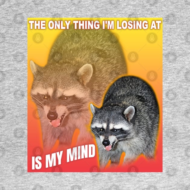 The only thing I'm losing at is my mind, raccoon meme by Dfive